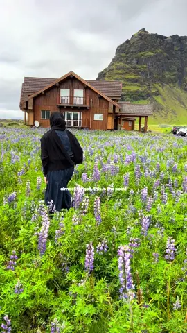 in iceland, the majestic creation of Allah (swt) 🥺 #iceland #travel #Summer #nature 