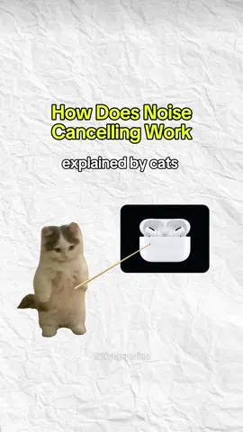 How Noise Cancelling works explained by cats #catanimation #noisecancelling #cats #kittycat #kittyexplains 