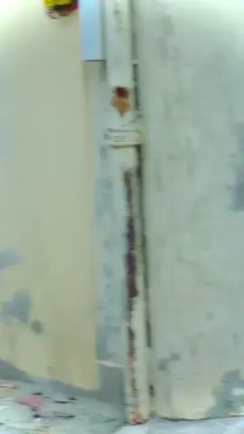 @یوسف انصاری 👑 