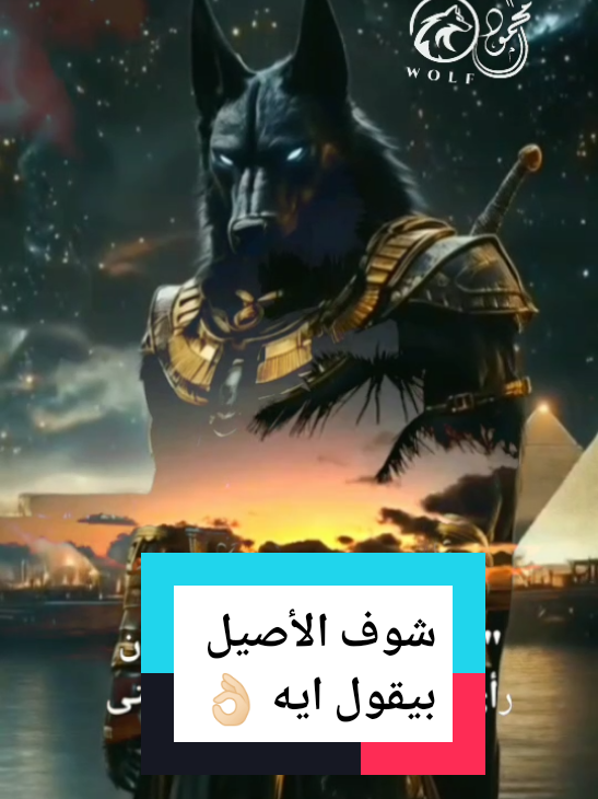 الأصيل مش بينكر 🐺💎🥷 #اقتباسات #عباراتكم_الفخمه #خواطر #اكسبلور #fyp #foryou #المداح #قائد_الذئاب #مصر قريبا الموسم الجديد من الحكايه ✨ ونجوم الليل ✨ ترقبو البرومو 