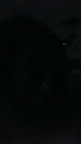 this world is going to 💩