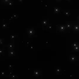 كانت حب وحنان بكوي جرحي بليد ليلى شو سر عيونك كيف خلتيني غريق بحكيش ابد بعيوبك عيوبك ع قلبي  #ليلى_شو_سر_عيونك  #صبرا #الشامي #الشامي_alshami #capcut 