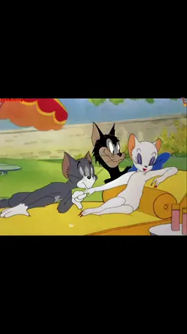 Tom and the black cat fighting who will get the girl 😂😂🤣🤣🤣##tomandjerry##following##animation##cartoon##tomandjerry##jerry