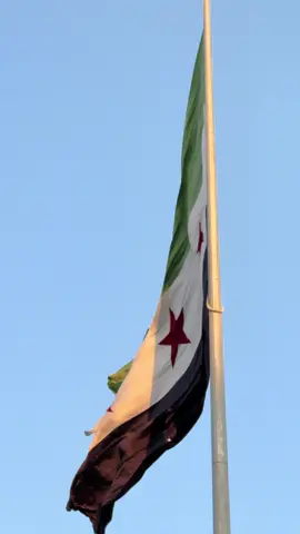 Syria 🇸🇾 (the biggest Syrian in the world)#🇸🇾 #syria 