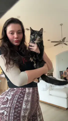 🐈‍⬛🖤