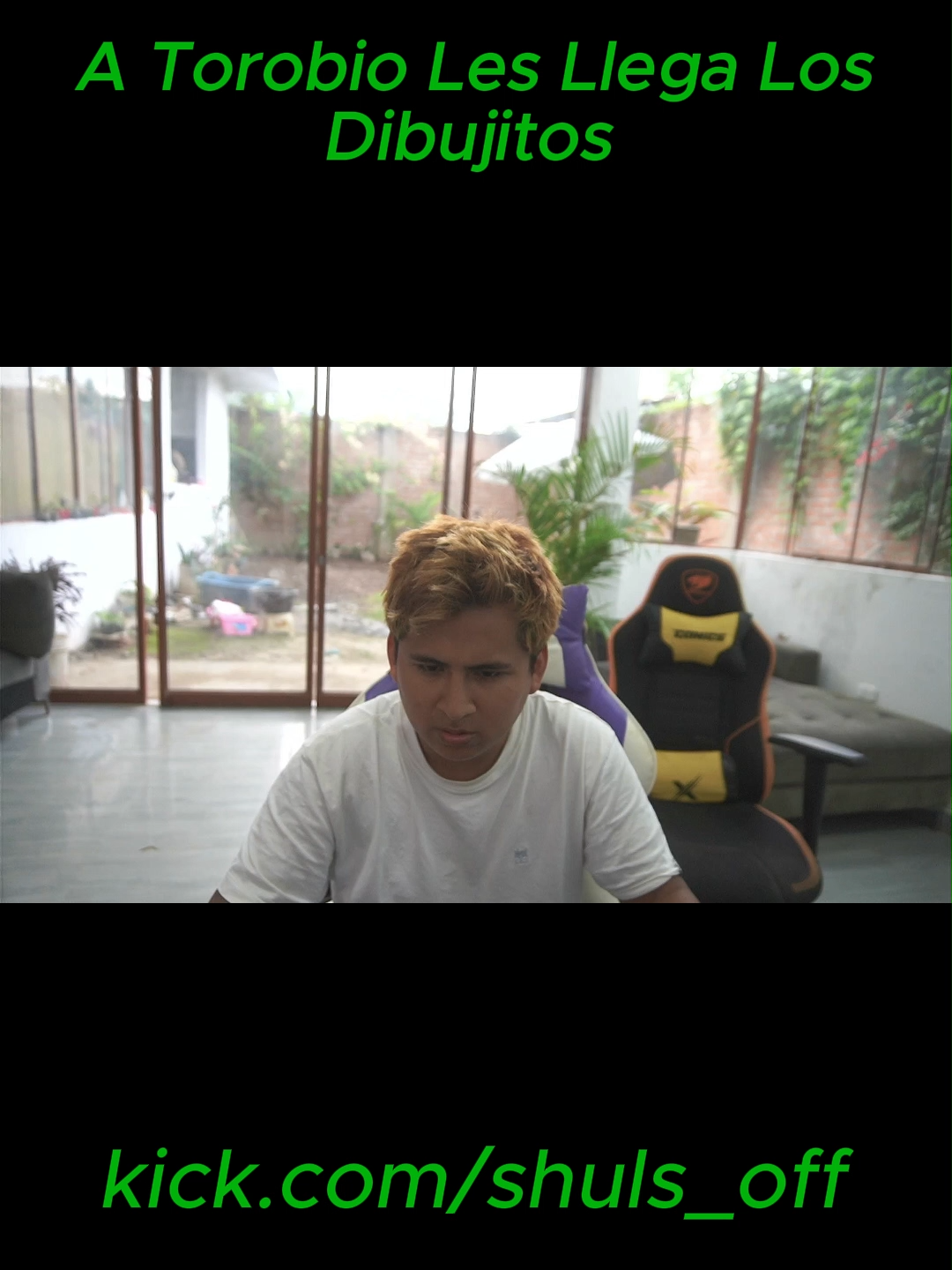 ajaja @shuls_y #viral_video #shuls_y #streamer #kickperu #kick_peru #show #perú #paratiiiiiiiiiiiiiiiiiiiiiiiiiiiiiii #dibujitos #shuls #reels #todos