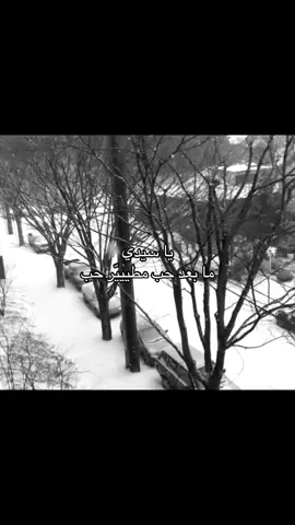 😴.   #you     #وليد_الميزاني     #مطير_اهل_الثلاث_المعجزات     #مطير 