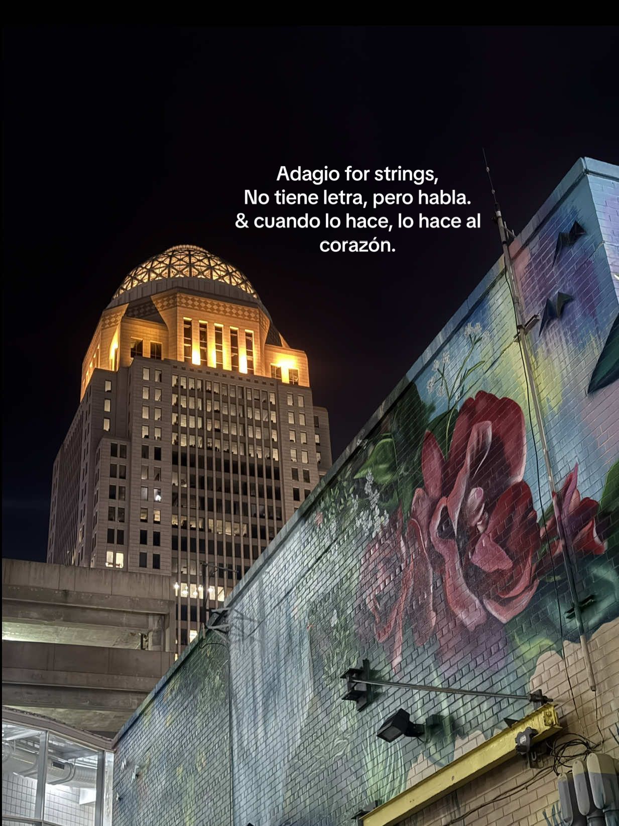 No tiene letra, pero habla. Y cuando lo hace, lo hace al corazón. ✨Samuel Barber, compuso esta obra  para escuchar como suena  el dolor mas profundo &  silencioso del alma.  #adagioforstrings #samuelbarber #musicaparaelalma #parati #paratiiiiiiiiiiiiiiiiiiiiiiiiiiiiiii #fyp #foryoupage #melancolico 