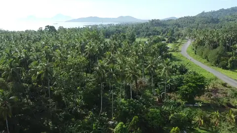 Kulungi Village, Talasea West New Britain Province 🇵🇬