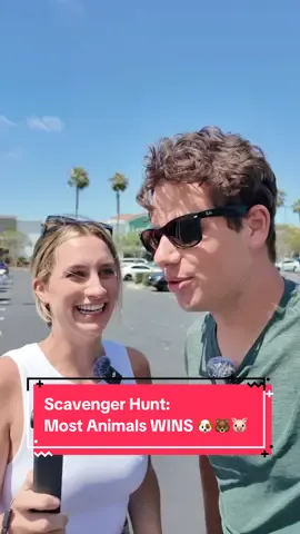 I still can’t believe how many we found 😂🤷🏻‍♂️🦊🐿️ #scavengerhunt #homegoods 