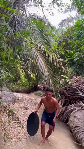 Looking for gold and panning for gold buried in river walls #viralvideo #golddiscovery #goldpanning #mininggold #goldhunter #foryou #foryoupage 