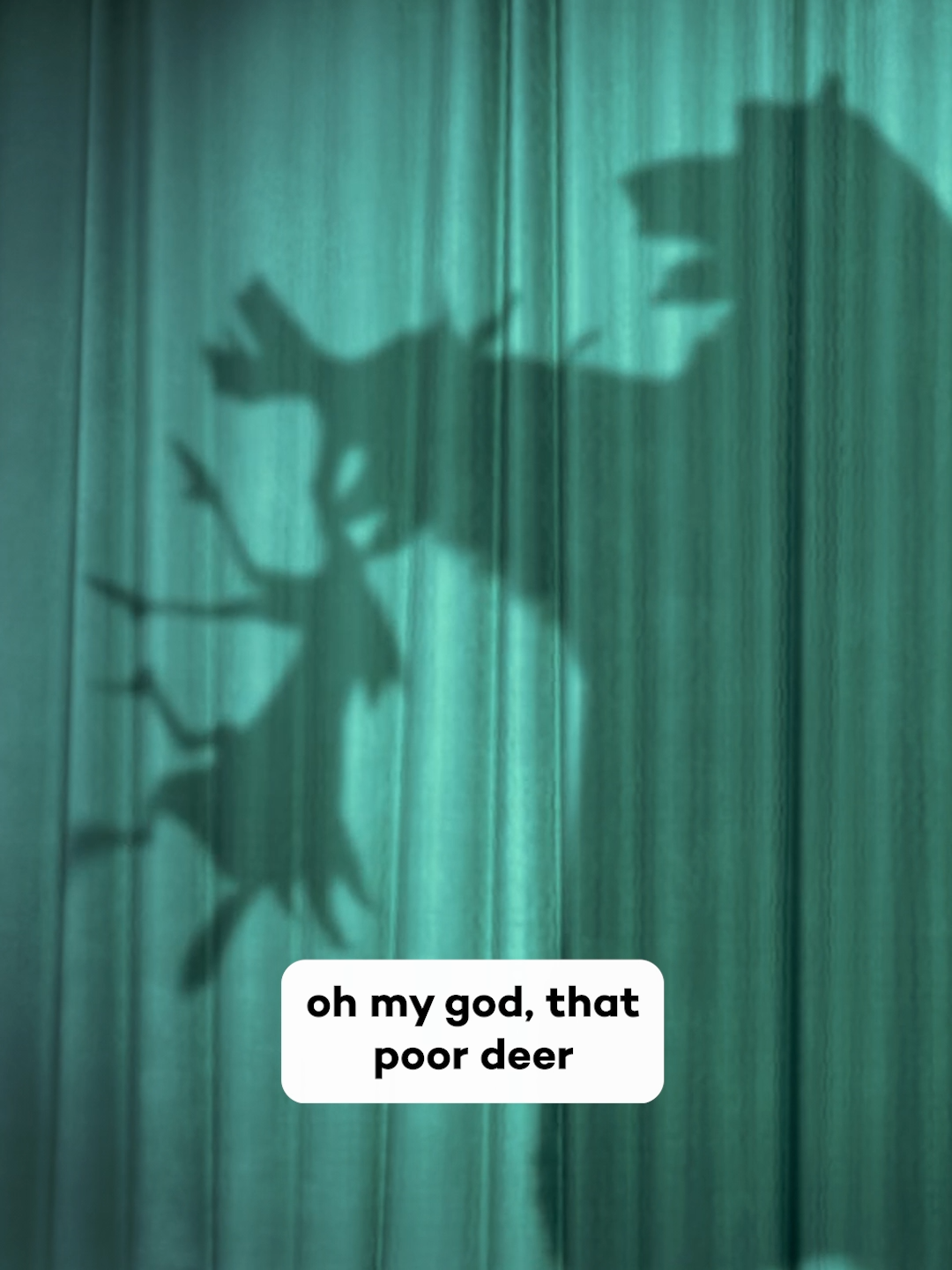 Open Season is Available to Buy or Rent #moviecentral #sony #openseason