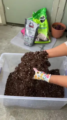 My go to soil mix for happy plants! No measurements, just love 😆 from my heart💚 🍀🌿🪴#soilmix #plantcare #fromtheheart #plantsoftiktok #plantlove #plantlife #houseplant #planttherapy #indoorplants #pottingmix #perlite #plantslover #nepali 