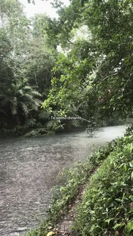 Cuando alguien cambia, las palabras sobran. JO 🧏🏻‍♀️  #beele #foryoupage #fyp #beelemusic #musica #viralvideos  #lycris #facts #canciones #paratii #letrasdecanciones #viralvideos #Amor #amorpropio #triste #toxic #frasesqueduelen #teperdi #distancia #actitudesquealejan #sentimientos 