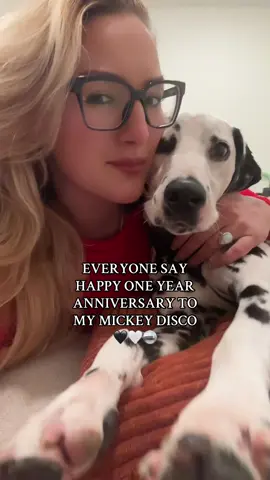 dog anniversaries >>>>>> #happygotchaday #happyadoptionday #adoptadog #dalmatian #dalmatiansoftiktok 