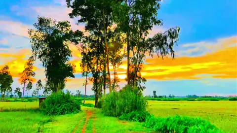 স্বপ্ন দেখা কমিয়ে দিয়েছি কারন বাস্তবতা অনেক কঠিন....😅💔🥀#viral #foryou #foryoupage #videography #viral_video_tiktok #naturelover #greenscreen 