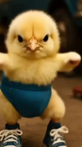 anak Ayam asik Joget joget #anakayam #joget #cintamerahjambu 