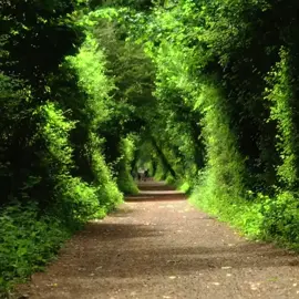 “Ta nhớ người ngồi sau ta khi chiều qua…”#tacohenvoithang5 #tamtrang #xuhuong #hanhsuri 