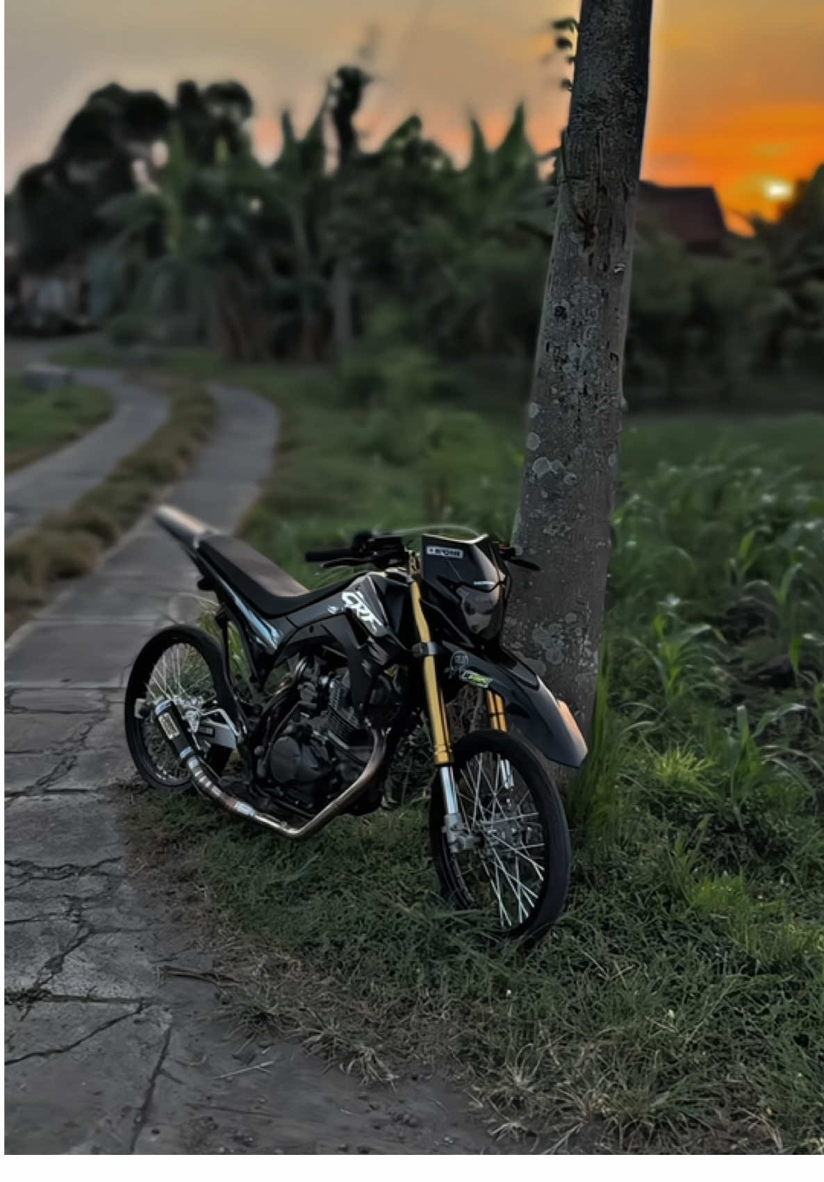 lagune kok penak men🤤 #crfsilambat #crfherex #crfherexstyle #supermotoenergy #supermotoherex #supermotoherexstyle #supermotoherexindonesia #supermotoenthusiast #crfherexjatim #supermotoherexsquad