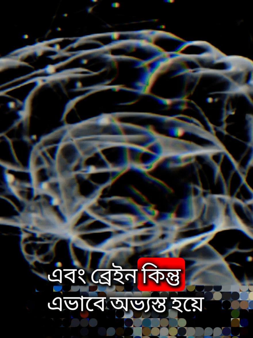 #Dr Nabil#Islamic_video #foryou  #Islamic_lecture 