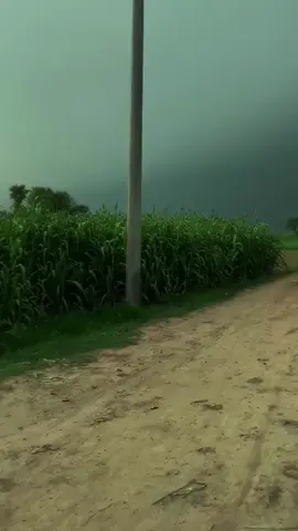 This feeling is tailor-made for people of certain zodiac signs, as if it can awaken a deep resonance in the soul ..#WindandFreedom #Resonance 