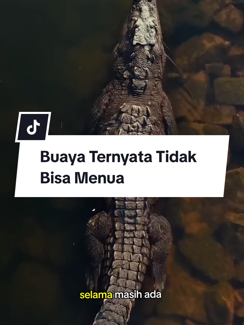 Buaya Ternyata Tidak Bisa Menua Tahukah kamu? Buaya termasuk hewan yang mengalami negligible senescence, yaitu proses penuaan yang sangat lambat. Selama makanan dan lingkungan mendukung, mereka bisa terus tumbuh dan hidup sangat lama, bahkan hingga ratusan tahun! Meski begitu, buaya tetap bisa mati karena penyakit, predator, atau kondisi alam yang ekstrem. Menakjubkan ya, betapa kuatnya makhluk ini di alam liar! #FaktaHewan #Buaya #NegligibleSenescence #FaktaUnik #HewanLiar #MisteriAlam #KeajaibanAlam #IlmuPengetahuan #HewanPurba #FunFactIndo #SepintasFakta 