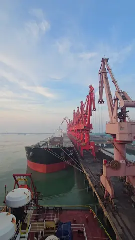 A Seafarers Story: Admin kindly post my story. My name is Captain J.G , and I want to share my story with all of you-my fellow seafarers. I spent nearly 70% of my life working at sea. I started sailing when I was 19, full of dreams and energy, determined to provide a better future for my family. For decades, my life revolved around the ocean, 8 to 10 months onboard, sometimes even 12 months, with only 1 to 2 months of vacation at a time. My routine was constant: training in Manila, preparing for my next contract, and always thinking about the next step to secure my family’s future. I was proud of my career as a Master Mariner, proud of what I was able to provide. My wife and I built a big house, and we saved enough for the future. My son is now living a successful life in Australia. On the surface, everything looked perfect. But here I am today, at almost 60 years old. My wife passed away two years ago. My son is thousands of miles away, busy with his own life. I’m retired, living alone, battling diabetes and high blood pressure. I can no longer walk properly or go far from my home. I have money, I have a house, but I don’t have the one thing I can never get back- - TIME 📍 When I was younger, I thought sacrificing everything was the only way to secure my family’s future. I thought my long months at sea and short vacations were part of the price I had to pay. But looking back now, I realize that I gave away something far more valuable-  the moments I could have spent with the people I love. To all seafarers reading this, listen to me: don’t make the same mistake. Work hard, yes, but don’t forget to live. Balance is everything. While you’re pursuing the dreams of your family, remember to think about yourself too. Why are you here in this world? Life isn’t just about building big houses or saving money. It’s about creating memories, being present for your family, and taking care of your health. Retire early if you can. Spend time with your loved ones. Invest in your health and your happiness, not just your career. Find hobbies, travel, and enjoy the life you’re working so hard to secure. Don’t wait until you’re too old or too sick to do the things you want to do. Time is short, and it’s the one thing money can never buy back. As I sit here in my house, I can only wish I had taken more time for myself and my family when I had the chance. Let my story be a reminder: work to live, don’t live to work. Life is too short to spend it all at sea. Enjoy the journey while you can. Thank you MARINO PH -Capt J.G