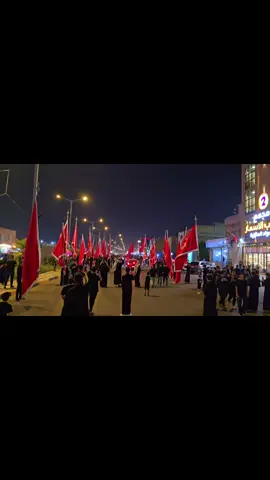 ‏الاستعراض السنوي لقبيلة البو محمد في البصرة ليلة السابعة من شهر محرم الحرام ليلة أبا الفضل العباس عليه أفضل الصلاة والسلام#المصور_احمد_الدهامي #تجمع_قبيلة_البومحمد_المركزي #اعلام_قبيلة_البومحمد_الرسمي_في_البصره 