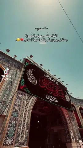 #يااباالفضل_العباس✨❤️🕊 #يازينب_حملتيه_شلون_مصيبة_العباس #ياحسين❤️😭 