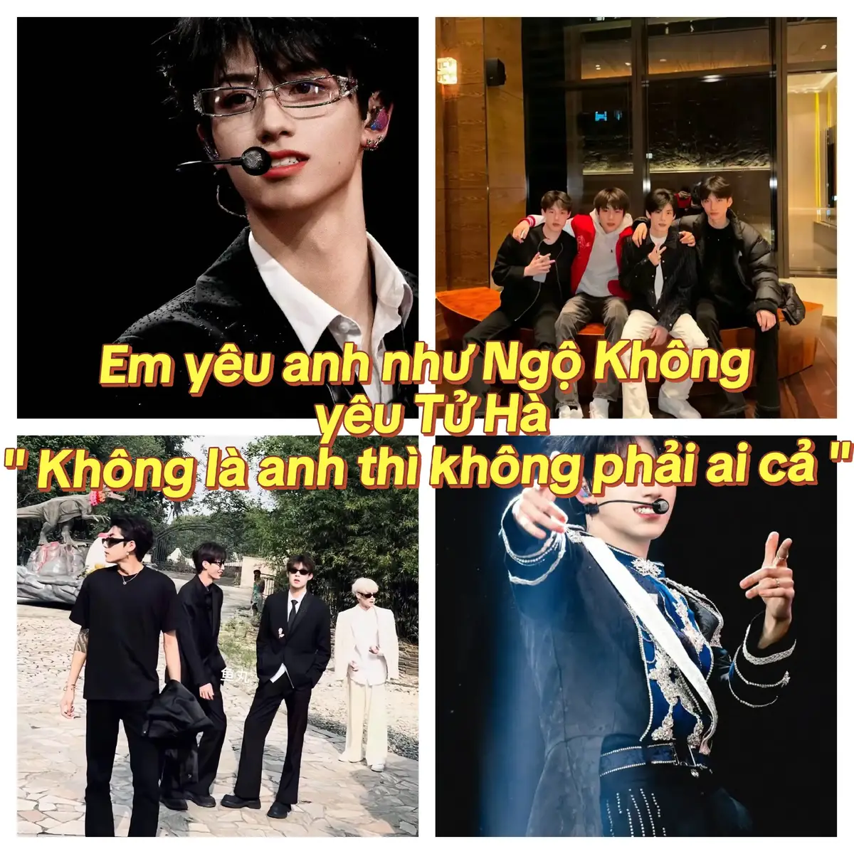 Ko ai cả