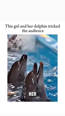 @cliphub.community: #ClipHubCommunity #TikTokClips #ViralVideos #TrendingClips #FunnyMoments #CommunityVibes #ShareTheFun #LaughTogether #CreativeClips #DailyEntertainment #ExploreTheHub #ClipOfTheDay #JoinTheCommunity #TikTokFam #ContentCreators#fyppppppppppppppppppppppp #fyp 