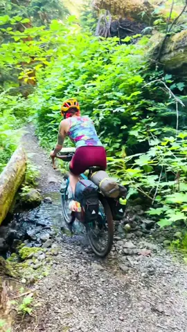 Obsessed with water in forests🧚💦 #bikepacking #pnw #bike #adventure #outdoorsy 
