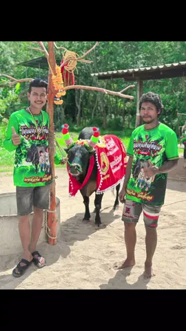 วันนี้เราทำสำเร็จเเล้วคับ  #โหนดงามสิงห์สยาม ซาดิส #เป็นกำลังใจให้กำนันด้วงด้วยคับ#ชนมิตรภาพครับ 