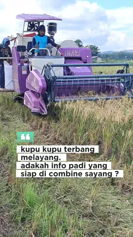 terima info combine wilayah sumber makmur dan sekitarnya #brigadepangan #brigadepangantanahlaut #petanimuda #petanimilenial #panenpadi #inari #viral #fyp 