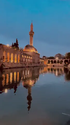 #keşfet #kelfetbeniöneçıkar #viralvideo #storytime #geceyebirsözbırak #geceyebirsözbırak✍️✍️💔🥀 #kelfetteyizzzzzzzzzzzzzzzzzzzzzzzz #fyppppppppppppppppppppppp #viraltiktok #şanlıurfa63 #reelsviralシ #şanlıurfatiktok #şanlıurfaprovince #reelsviralシ #sözler 