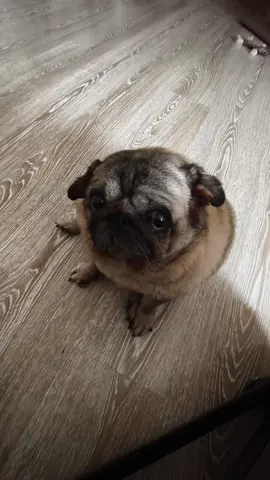 #марта 
