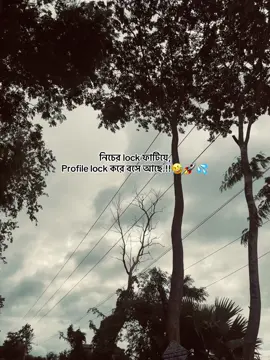 নিচের lock ফাটিয়ে, Profile lock করে বসে আছে.!!🤣🚀💦#foryou #status #sigma #shariatpur #sigmamale #sigmacaption #attitude 