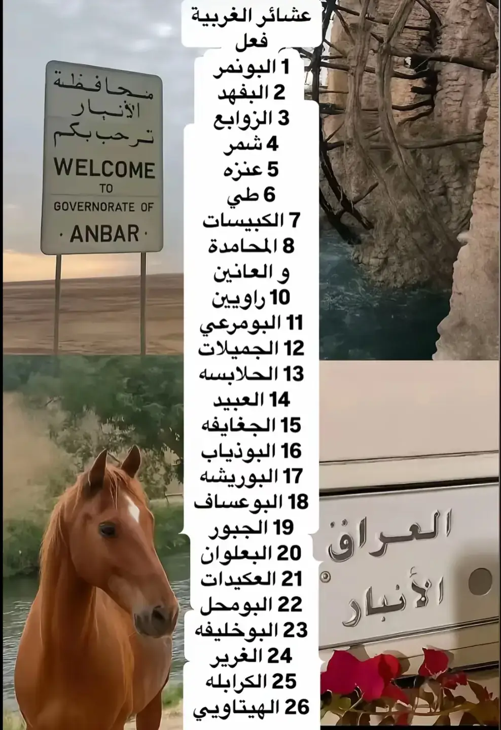 #دليم_وعز_دليم #الانبار_مدينة_الرمادي 