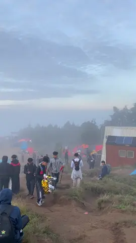 di Prau masih belom ada hokinya🥹 tutor biar hoki di prau🥹🫠  #pendakigunung #pendaki #pendakifomo #mentahan #gunungprau #gunungprau2565mdpl #story #dieng #wonosobo #wonosobo24jam #fyp #fypシ 