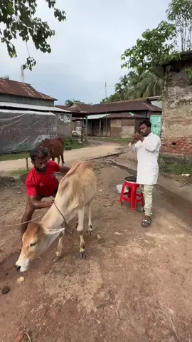 funny video 😂😂😂#funny #comedia #foryou #trending #viral_faruk4923_tiktok_official 