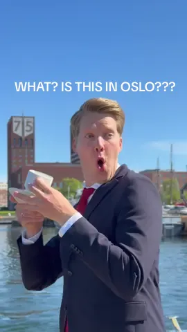 A Viking boat - in Oslo!? 😱🤩  At @maritimtmuseum they have the only original Viking boat in Oslo this summer! And I even got to work on a replica at the same time. And - so much more! ⚓️⛴️ #visitoslo #visitnorway #oslo #norway @Visit Norway @VisitOSLO 