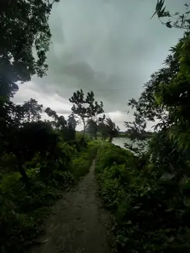 বৃষ্টি সুন্দর তার থেকেও সুন্দর বৃষ্টি আসার আগ মুহূর্ত🩶🍃#foryou #bdtiktokofficial #shortstory #weather #barish #fypviral 