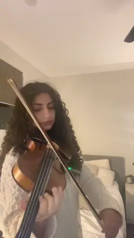 Childish Gambino - Les violin cover - brother just had to join in 🤦‍♀️ #violin #foryoupage #coversong #fyp #fyppage #music #fypシ゚ #foryoupageofficiall #foryou #violinist #fypage #fypp 