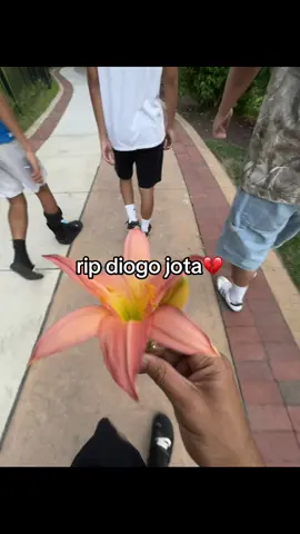 #fypシ #diogojota 