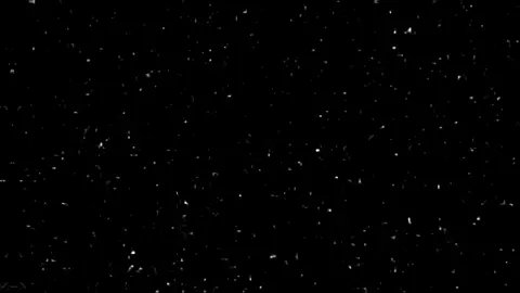 دزله المقطع 👀😂#العراق #اكسبلور #مالي_خلق_احط_هاشتاقات #تصميم #اغاني_عراقيه #اغاني_مسرعه💥 #fyp 