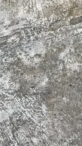 Senja apa ini #stroy26 #mentahanvideo #mentahan #mentahanvidio #fyp 