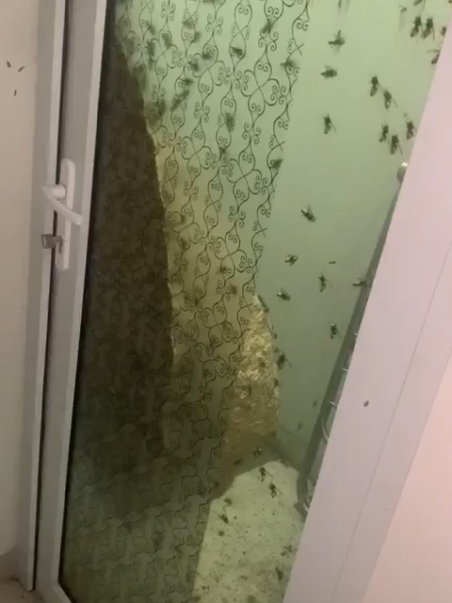 Siap tempur 👨‍🚒🐝 #damkar #pemadamkebakaran #fyp #tawonvespa🐝  #damkarindonesia 