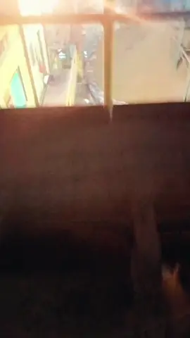 #pesona di malam hari  #Dimna lebih mementingkan isi dompet di bandingkan isi hati tanpa ad kepastian 