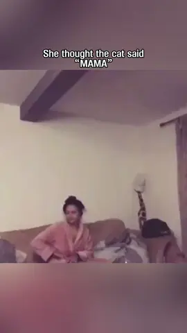 Talking Cat🤣🤣#funnycats #funnyanimals #petvideos #cat #catsoftiktok #fyp #usa #longervideos