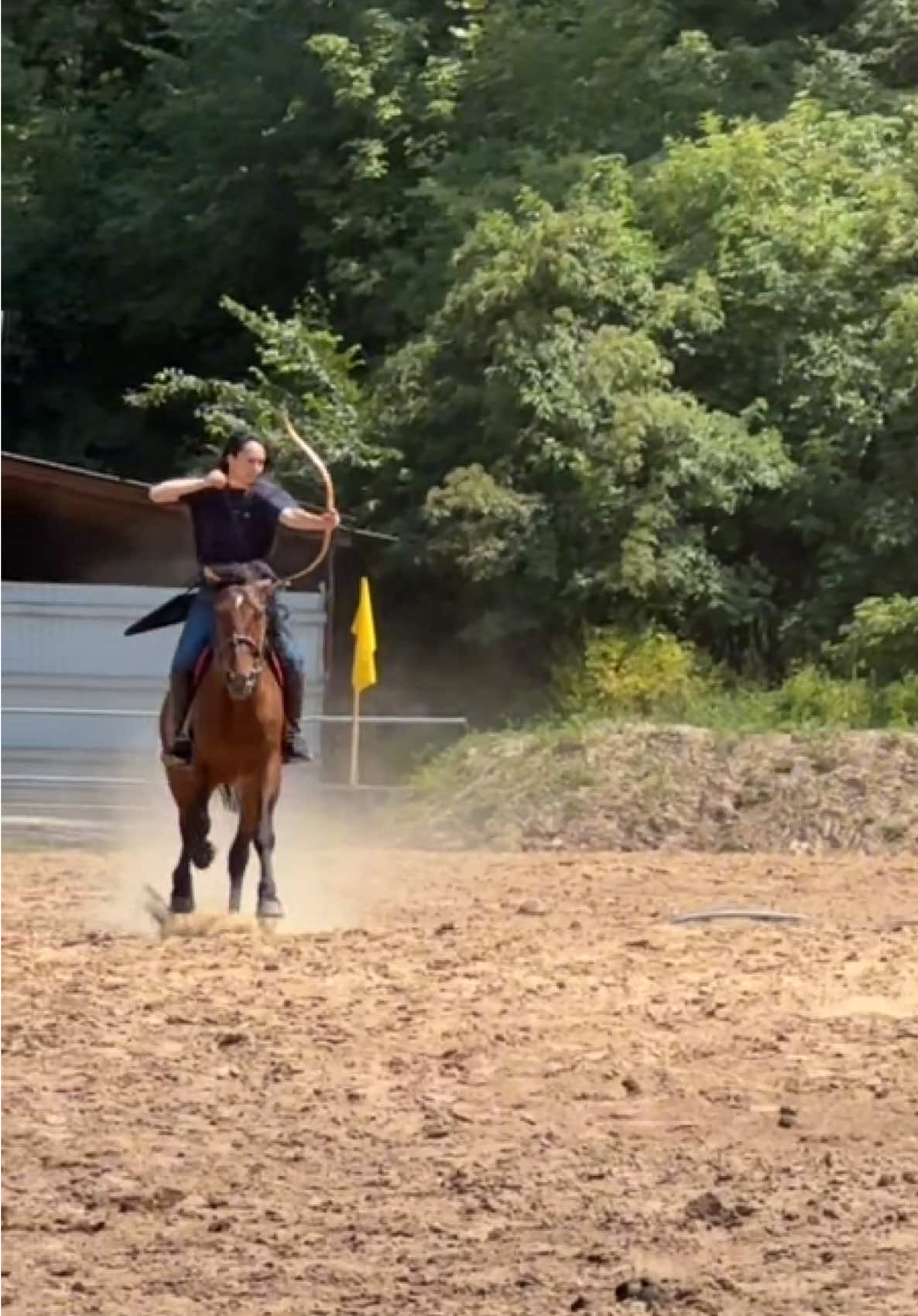 #р_е_к_о_м_и_н_д_а_ц_и_и #рекомендации #🐎 #құсбегіқыз #садақату #жамбыату 